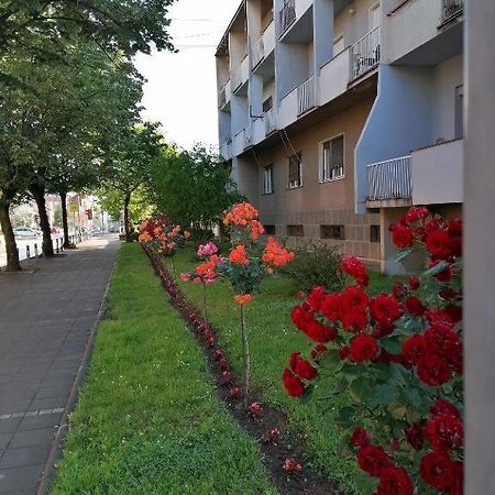 Ferienwohnung Apartman Borak Kladovo Exterior foto